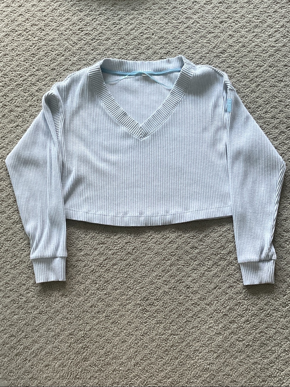 ALO Yoga Light Blue Ribbed Cropped Top 0413